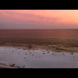 Meet your Posher, Janette